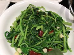 清炒萝卜菜-湖锦酒楼·32年地道湖北菜(光谷店)