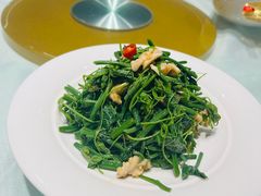 -凯鸽酒楼•雁北民间菜(华北星店)