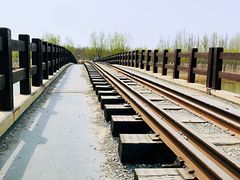-西青郊野公园