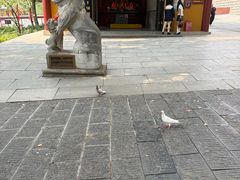 -宝通禅寺