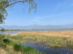 -野鸭湖国家湿地公园