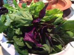 山茅野菜拼盘-滇釜火锅·能喝汤的火锅(车公庄店)