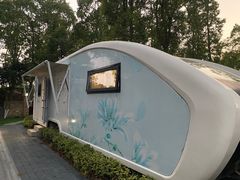 -上海海湾国家森林公园