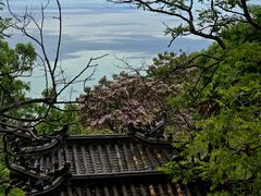 -石老人观光园