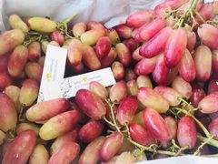 云南美人指红提（斤）-水果天空(东葛店)