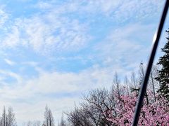 -上海滨江森林公园