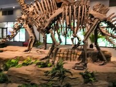 -自贡恐龙博物馆