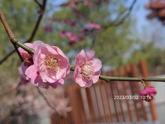-静安雕塑公园