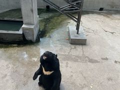 -保定市动物园