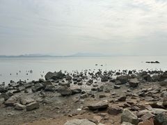 -深圳湾公园(南山区)