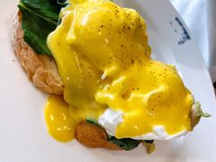 班尼迪克-JamaicaBlue(新城国际店)