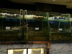 android_upload_pic-洲际酒店·地平线全日餐厅HORIZON CAFÉ