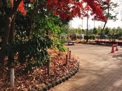 -三鹰之森吉卜力美术馆