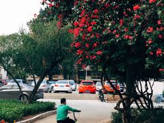 -广西大学(大学东路校区)