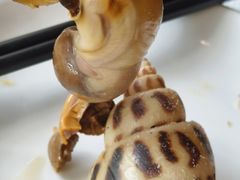 -强记海鲜·大排档(蛇口新街店)