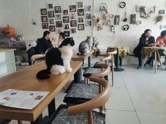 -平行世界·猫咖(首经贸店)