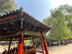 -晋祠公园