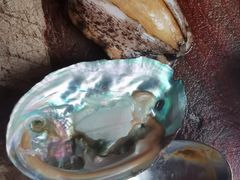 -古乐牛香·鲜牛肉牛杂火锅(新区店)