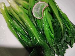 -CHIC1699远洋私厨