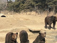 -沈阳森林动物园