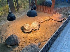 -上海大自然野生昆虫馆