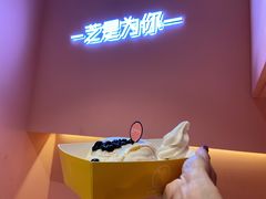 黑糖珍珠梳乎厘-狐狸和向日葵(北京路店)