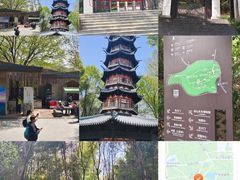 -上海佘山国家森林公园西佘山园