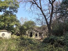 -惠山国家森林公园