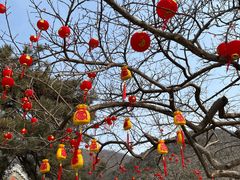 -潭柘寺景区