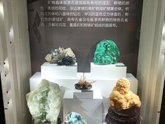 -重庆自然博物馆(新馆)