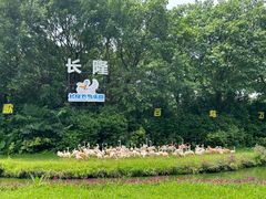 -广州长隆野生动物世界