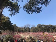-无锡梅园公园