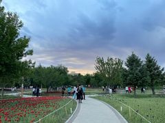 -长春公园(普阳街道)