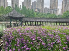 -龙头寺公园