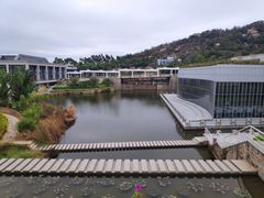 -厦门国家会计学院