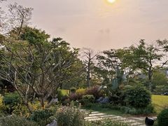 -东莞植物园