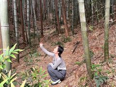 -杭州半山国家森林公园