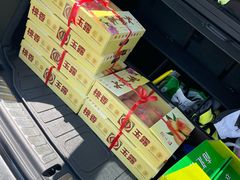 -南汇水蜜桃采摘(大团店)