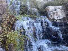 -北京西山国家森林公园