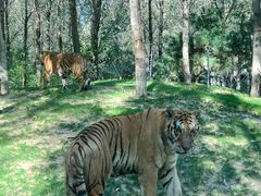 -北京野生动物园