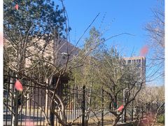 -清华大学艺术博物馆