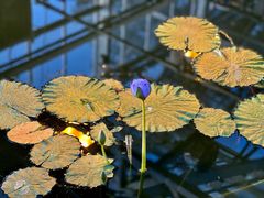 -国家植物园南园