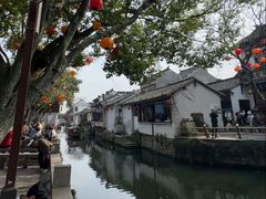 -周庄古镇景区-双桥