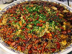 来凤鱼-新概念来凤鱼(璧山店)