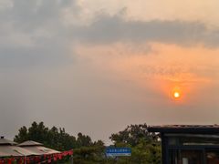 -蘇河湾·新鲁菜·泰山宴(泰山店)