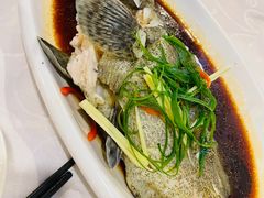 清蒸龙趸-廣味潮鲜·一品潮滋味(五道口店)