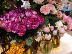 -BEAST野兽派(上海浦东嘉里城店)