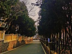 -八大关景区