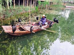-微山湖红荷湿地景区
