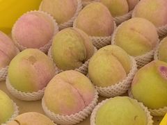 -老袁家蜜桃农场·阳山水蜜桃